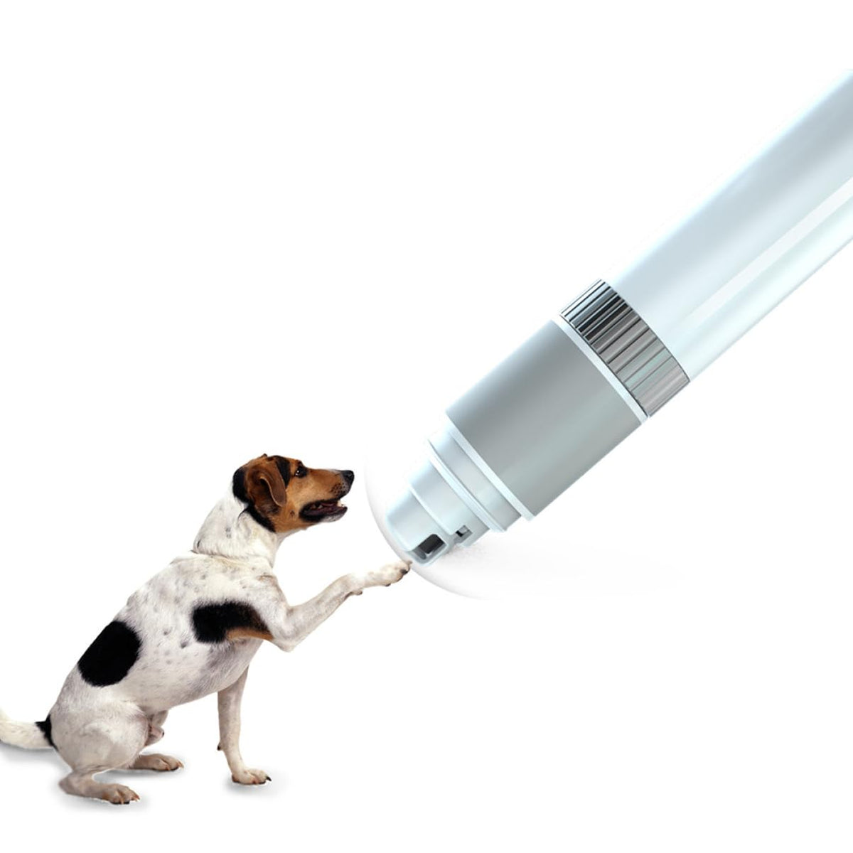 Pet Electric Nail Trimmer Z63515