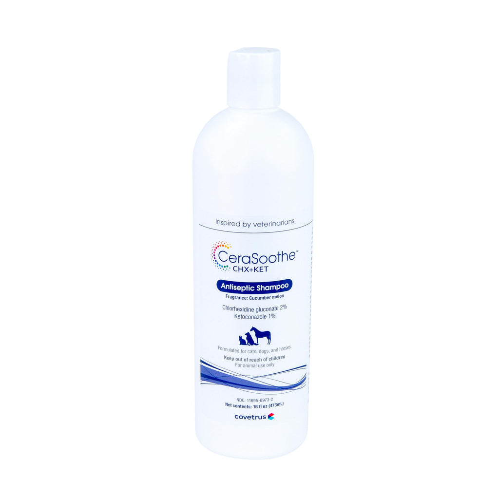 Chlorhexidine Ketoconazole Antiseptic Shampoo 16 oz S954