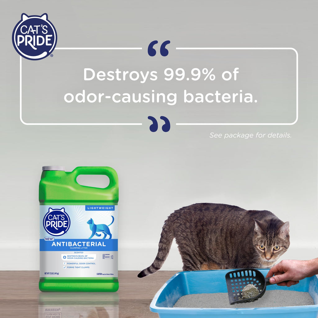 Antibacterial Odor-Eliminating Scented Cat Litter 12lb X9316