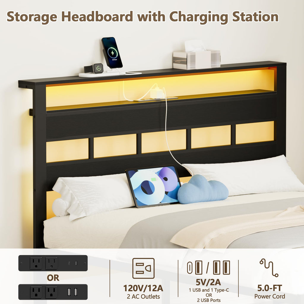 Queen Bed Frame with Storage Headboard and LED Lights Y307736