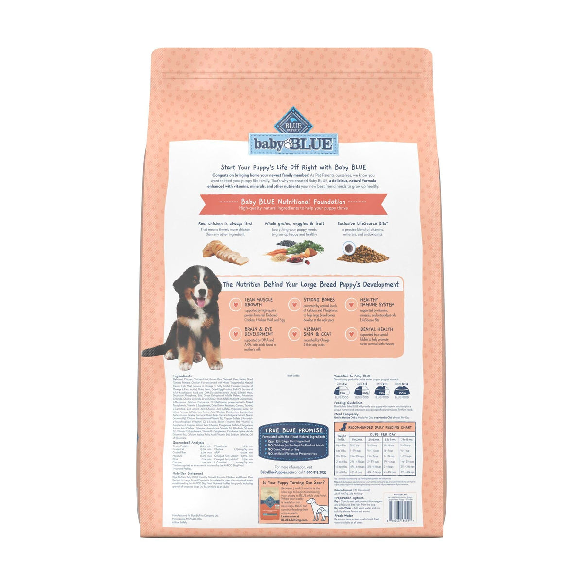 Large Breed Puppy Dry Dog Food Chicken and Brown Rice 24-lb Bag B55236