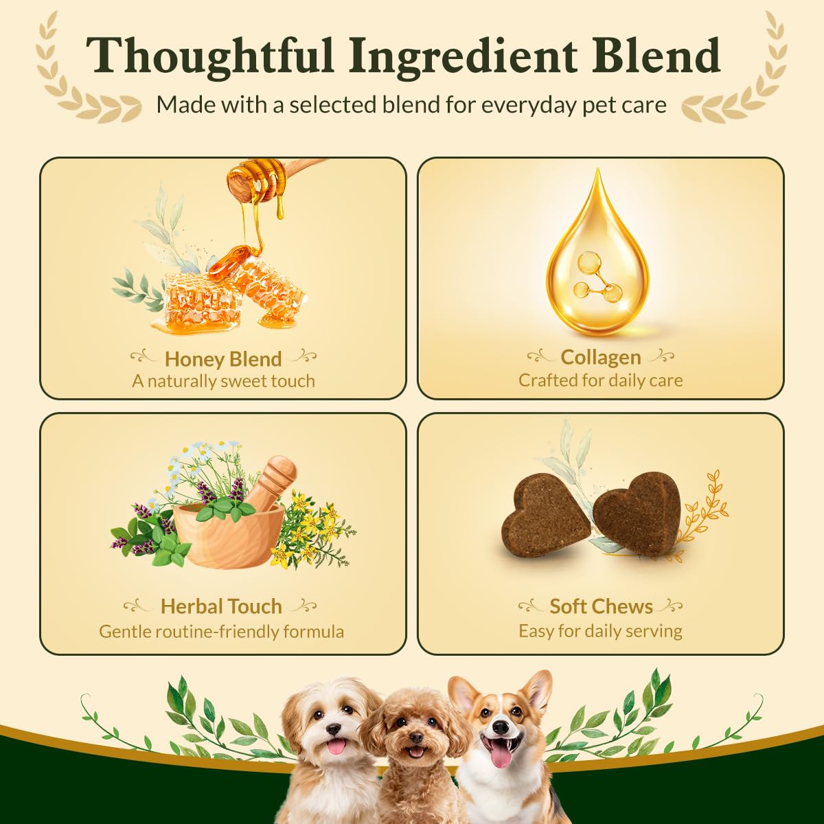 Soft Chews for Dogs J762212