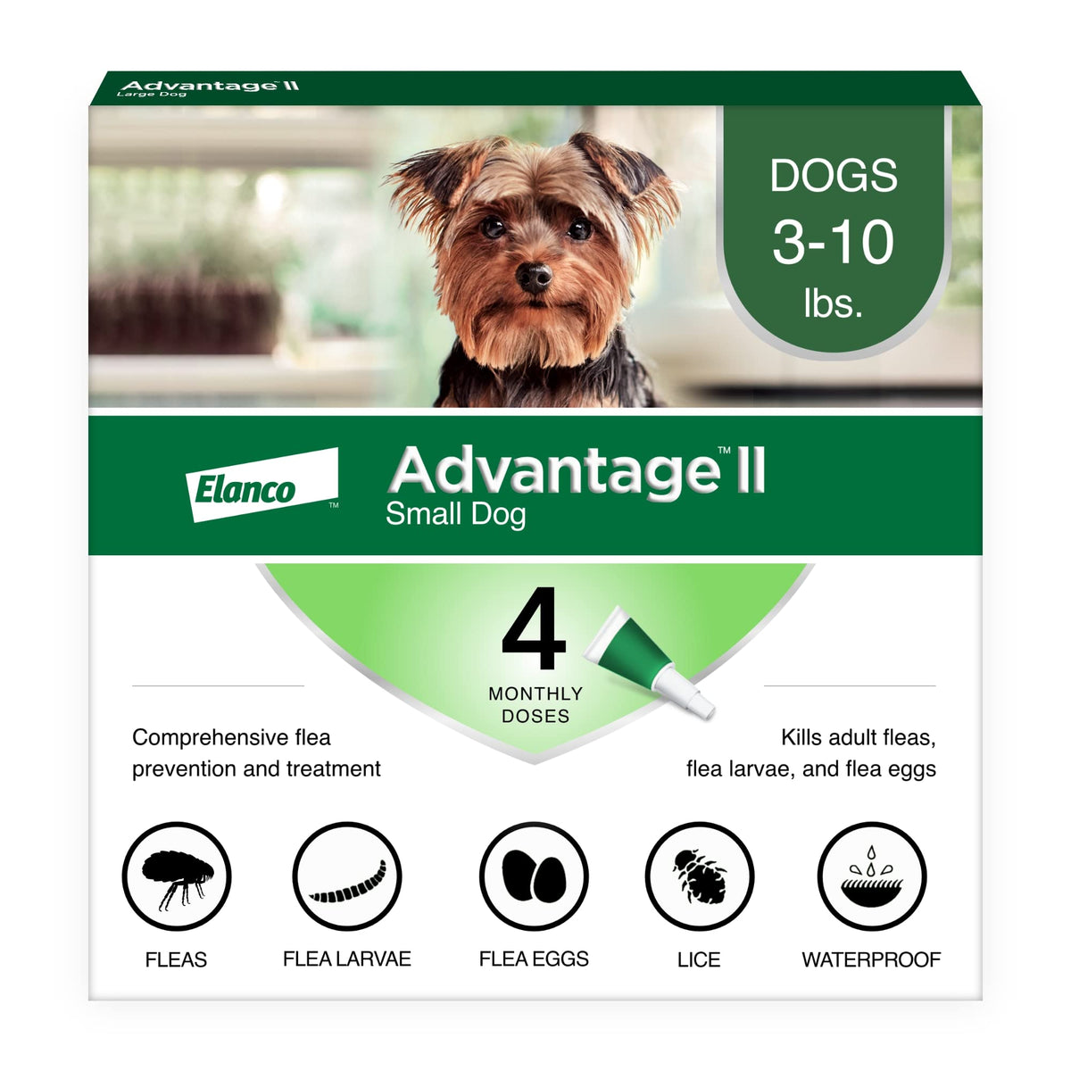 Small Dog Flea Treatment & Prevention 4-Month Supply G6257