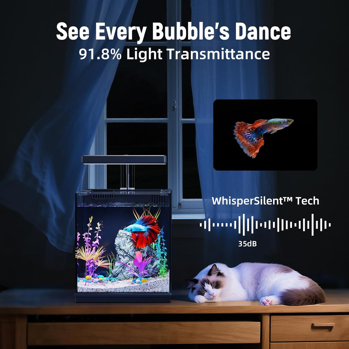 2 Gallon All-in-One Aquarium Kit with Filtration & LED Light L16320