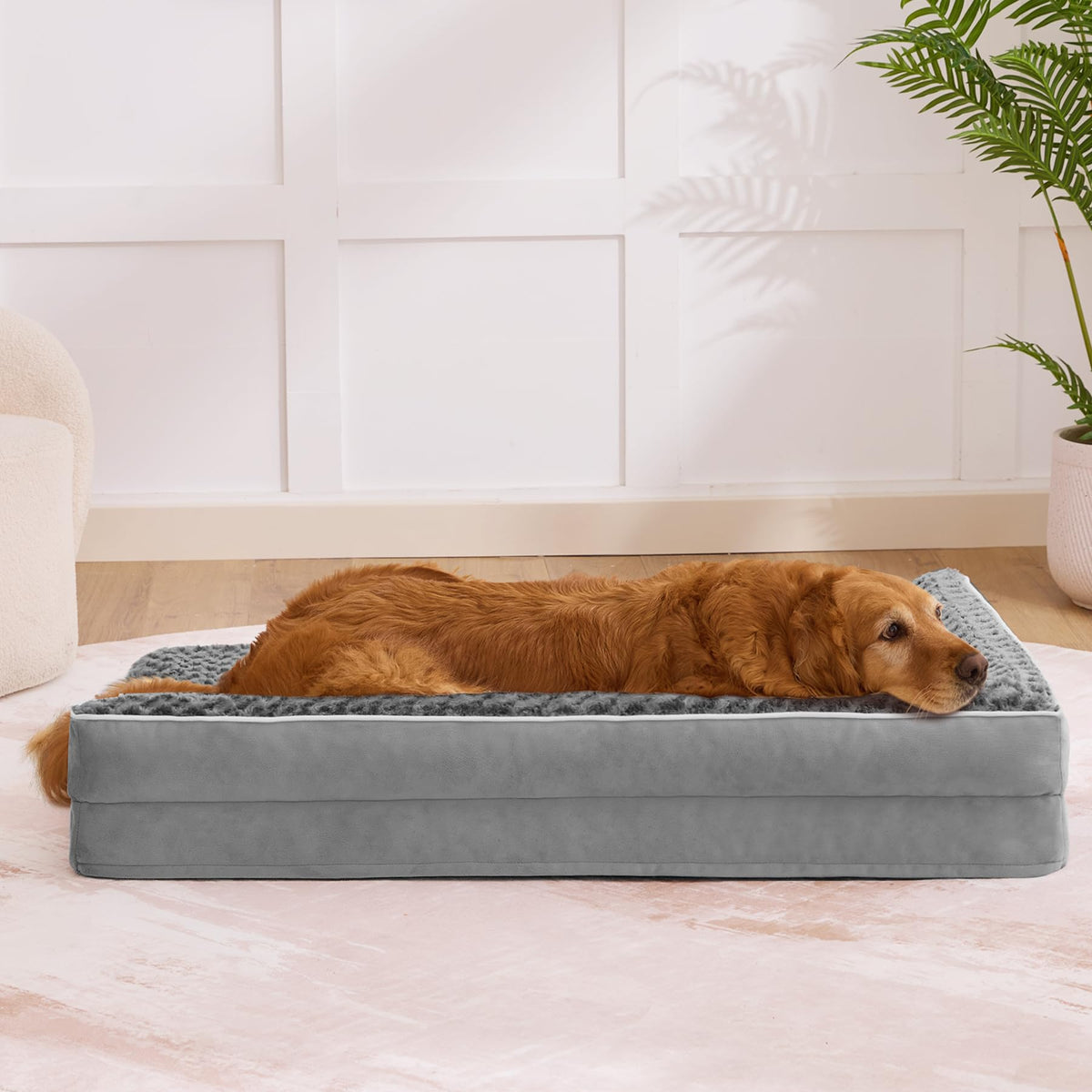 XL Orthopedic Dog Bed Grey R638