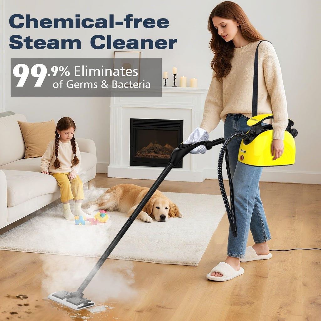 4.5 Bar 300°F Steam Cleaner F43753