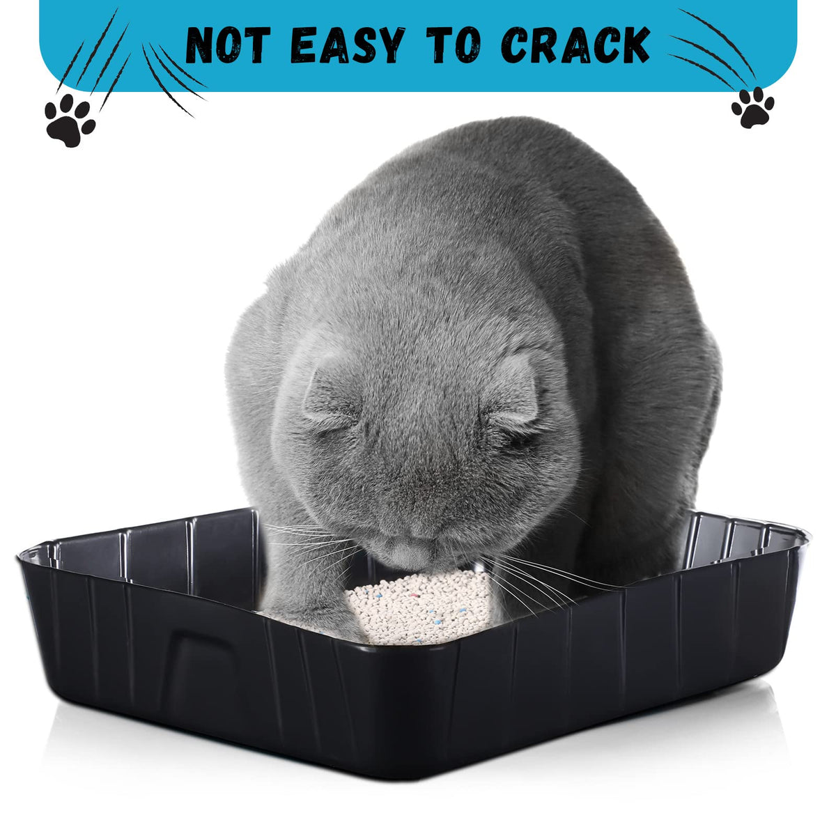 Black Disposable Litter Box for Cats F4027