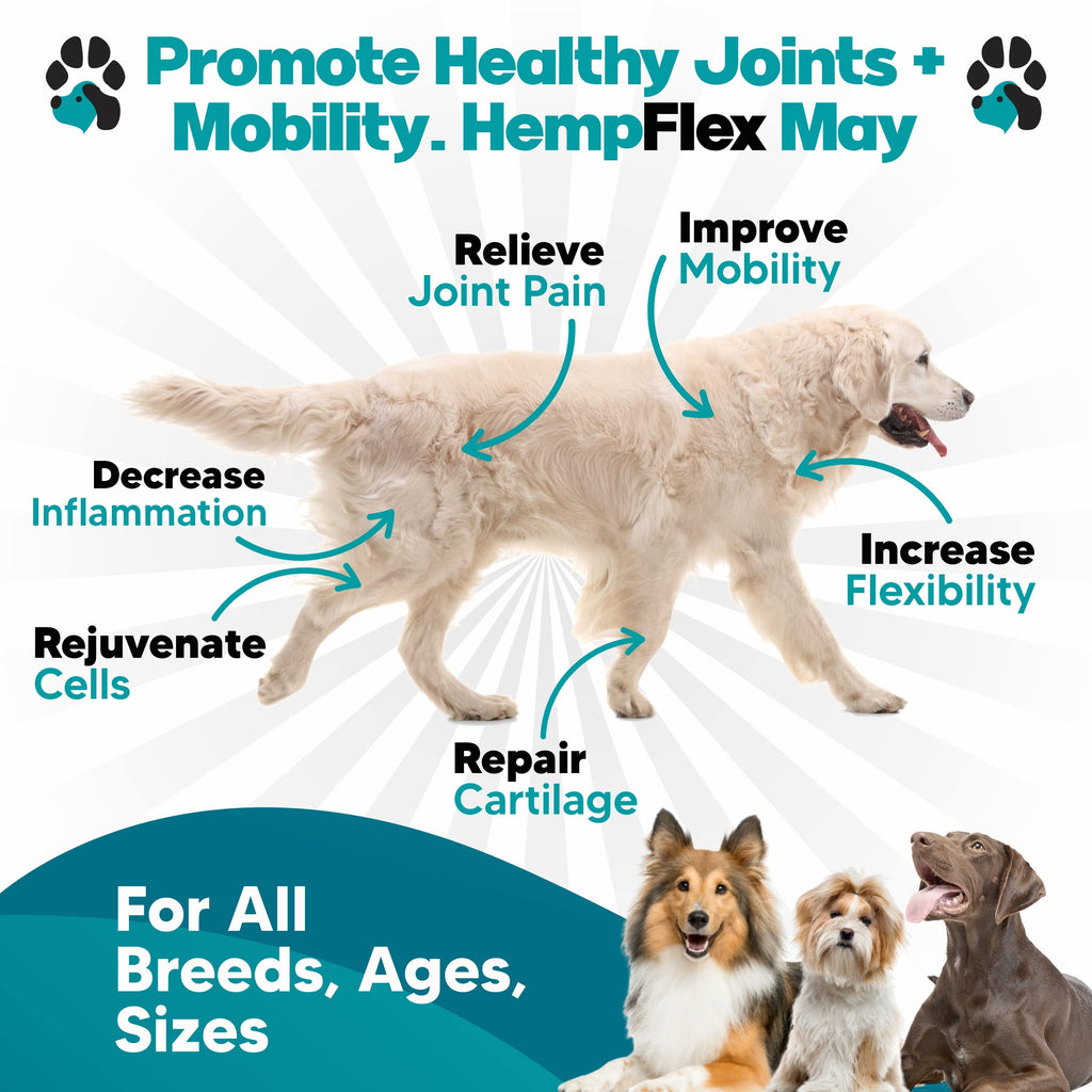 Glucosamine for Dogs Hip and Joint Supplement Soft Chews A779105