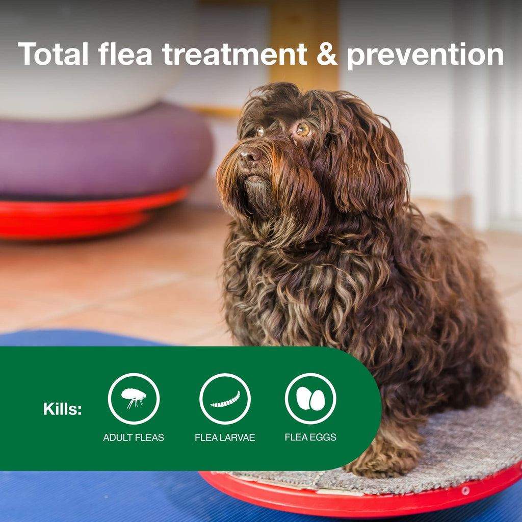 Small Dog Flea Treatment & Prevention 4-Month Supply G6257