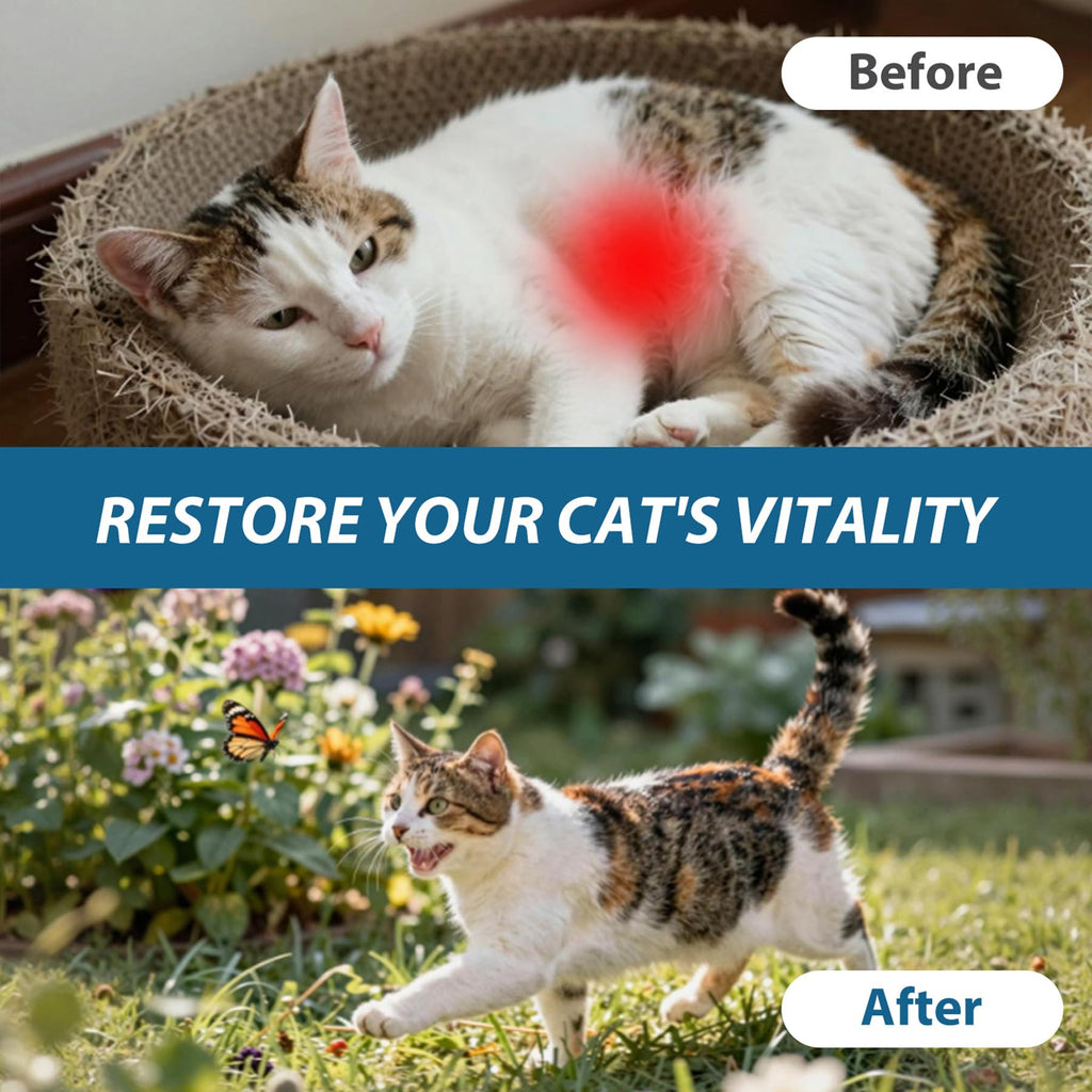 Cat Dewormer Tablet for Cats and Kittens Y4408