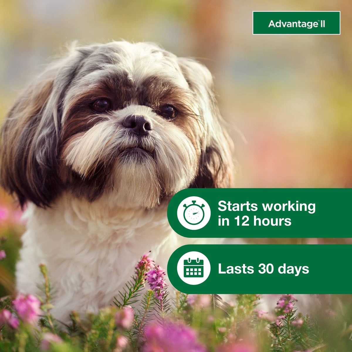 Small Dog Flea Treatment & Prevention 4-Month Supply G6257