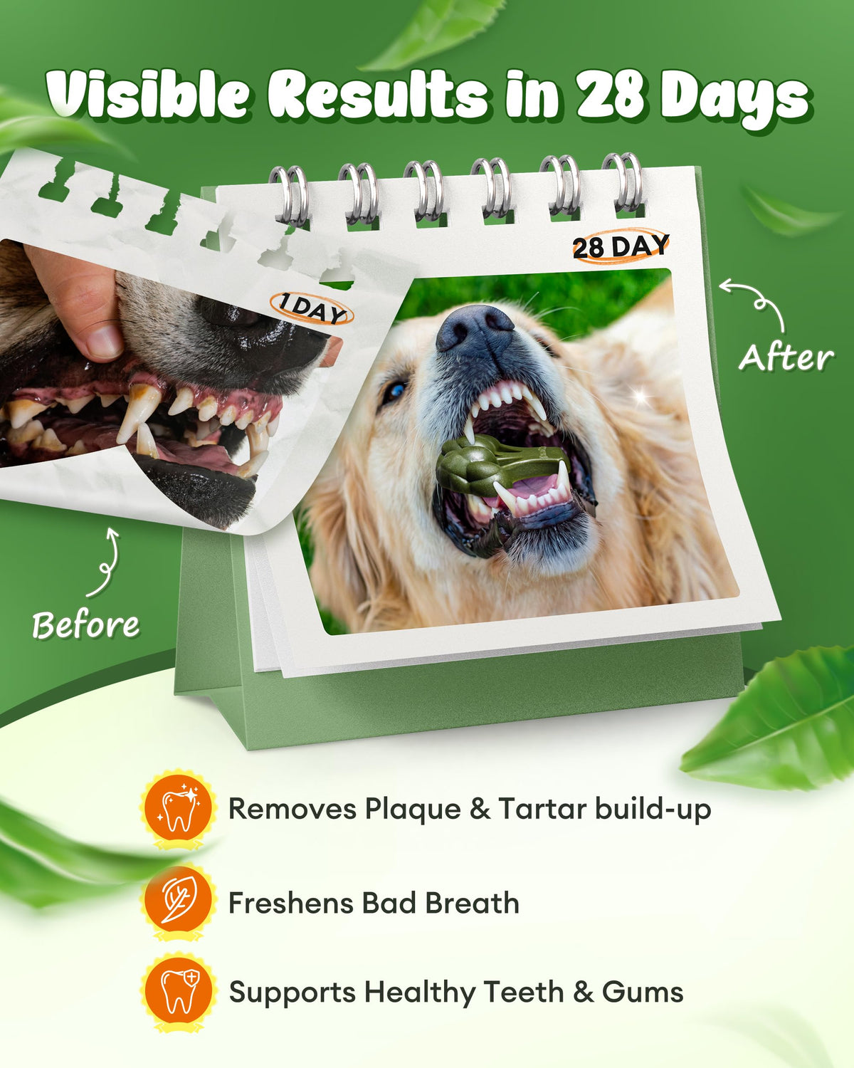 Dog Dental Chews 12oz 10 Count V294242