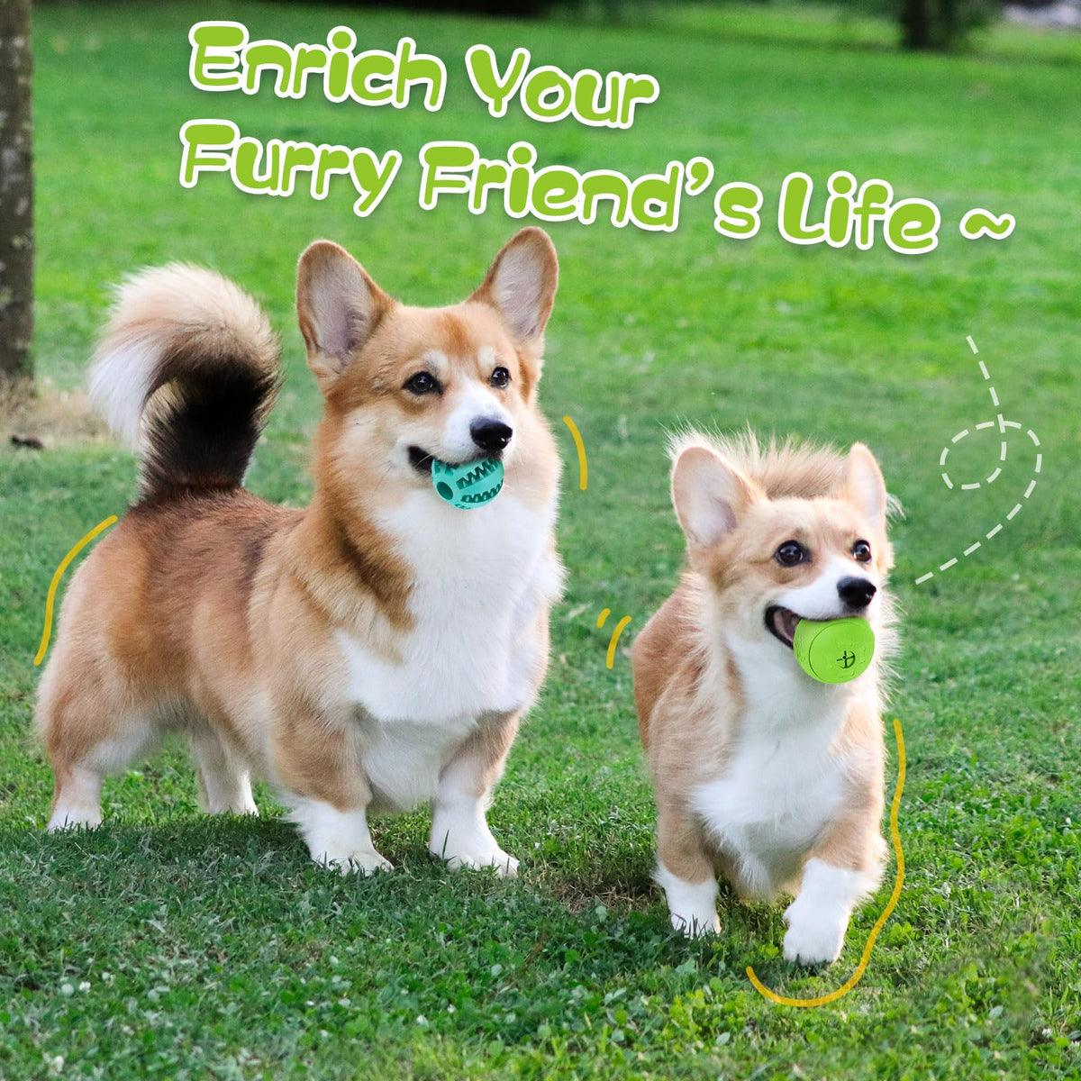 2 Pack Interactive Dog Puzzle Toys N60406
