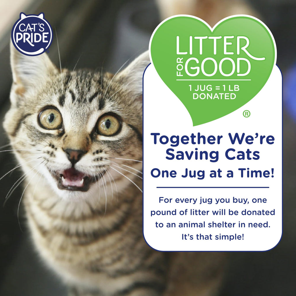 Antibacterial Odor-Eliminating Scented Cat Litter 12lb X9316
