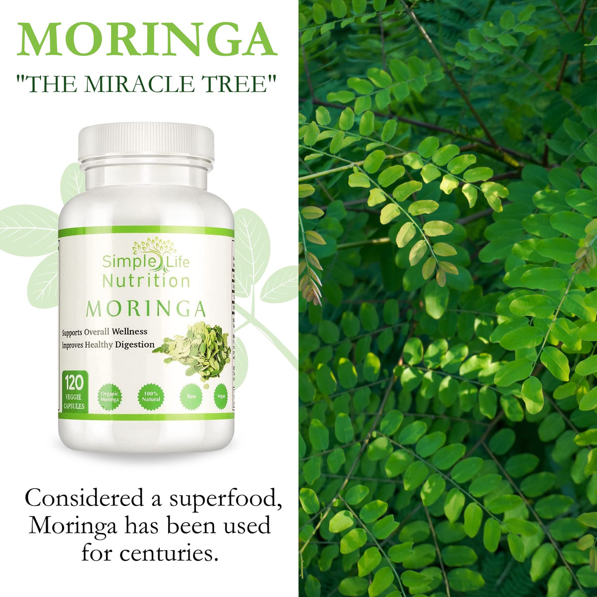 Organic Moringa Powder Capsules C8867