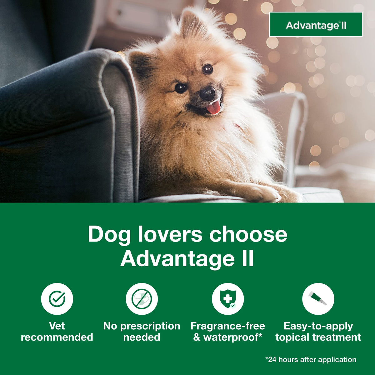 Small Dog Flea Treatment & Prevention 4-Month Supply G6257