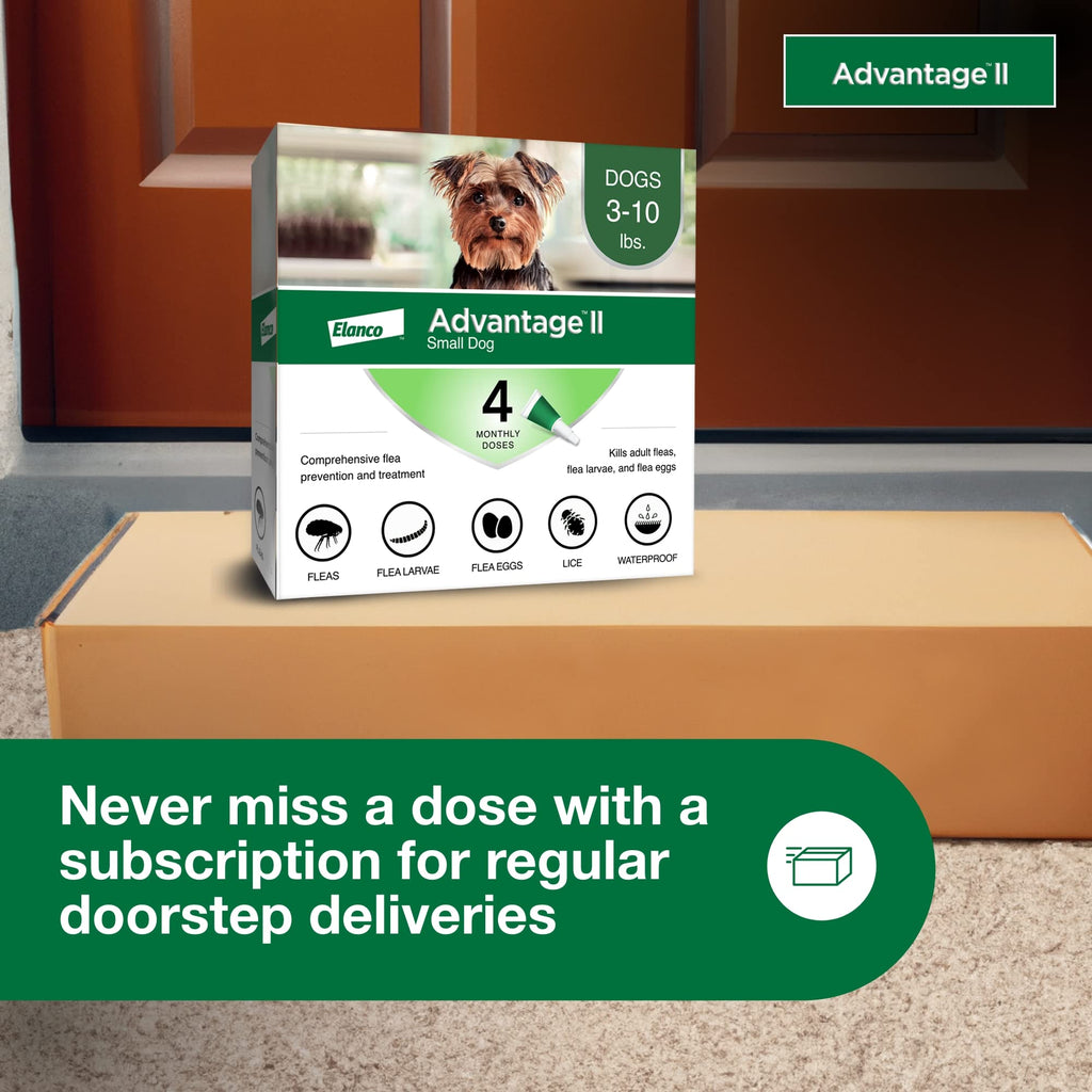 Small Dog Flea Treatment & Prevention 4-Month Supply G6257
