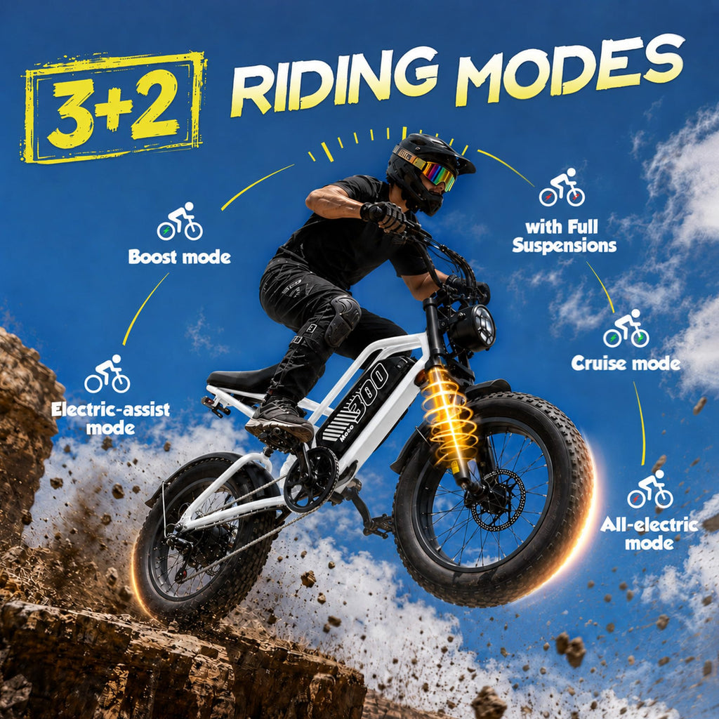 Electric Bike 48V 20.8/41.6Ah Battery 1500W Peak Motor 20×4.0" Fat Tire X2938