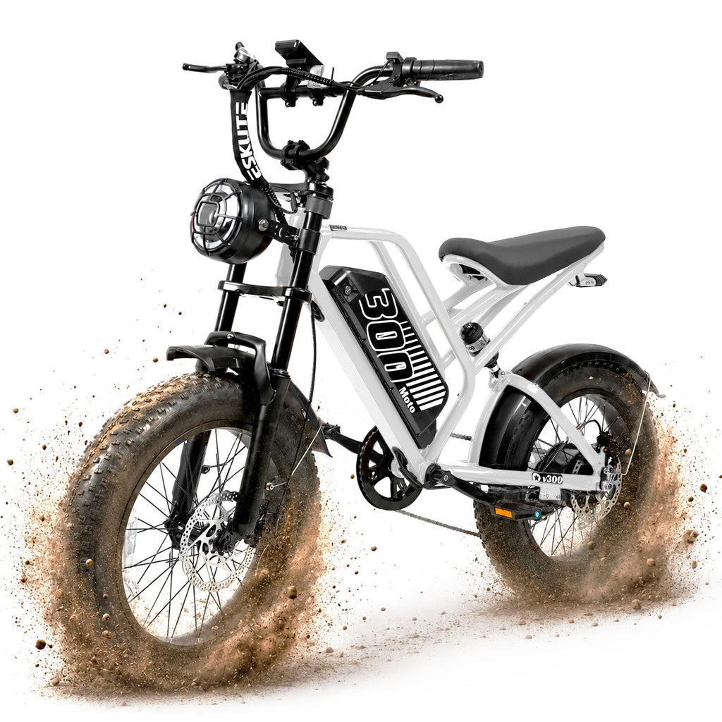 Electric Bike 48V 20.8/41.6Ah Battery 1500W Peak Motor 20×4.0" Fat Tire X2938