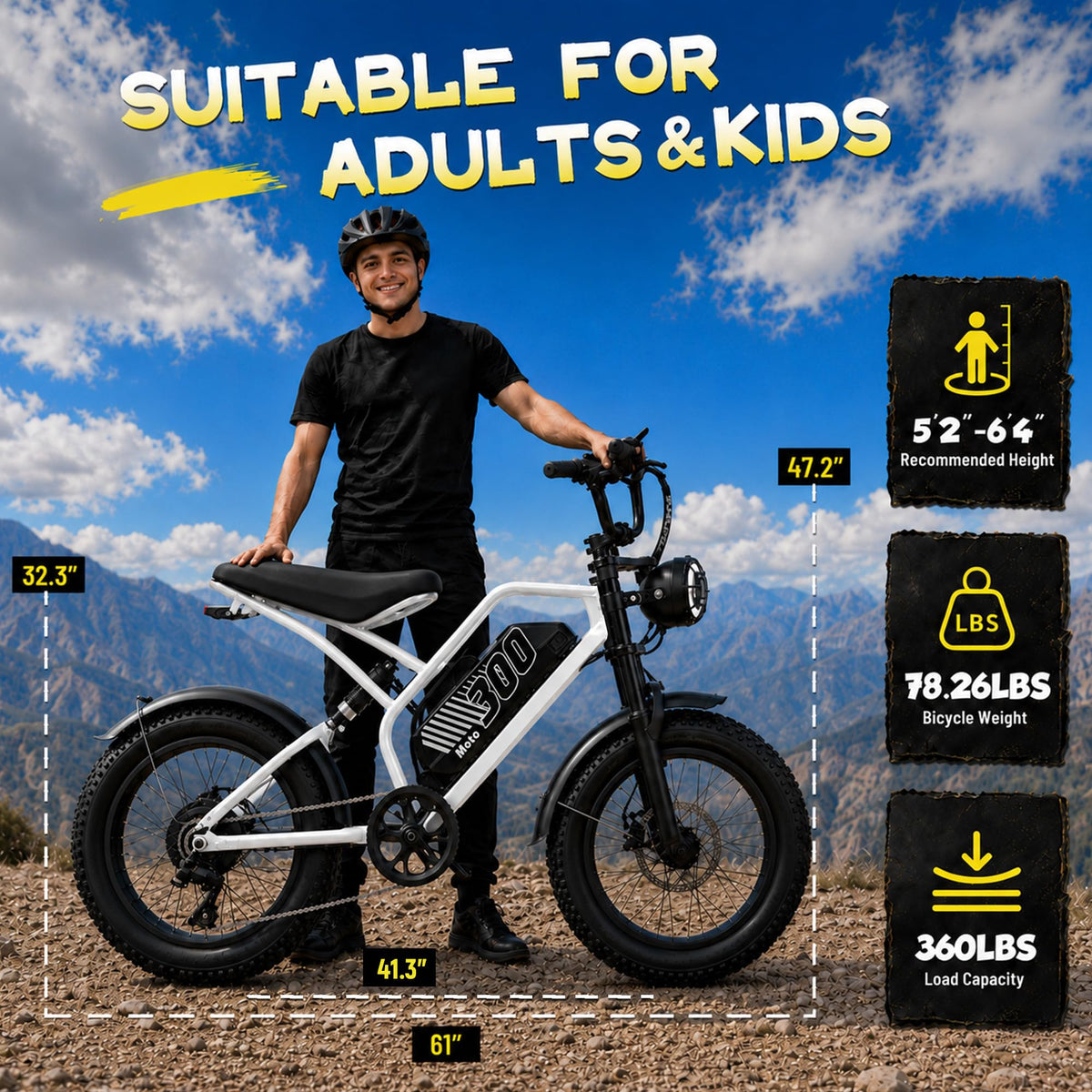 Electric Bike 48V 20.8/41.6Ah Battery 1500W Peak Motor 20×4.0" Fat Tire X2938