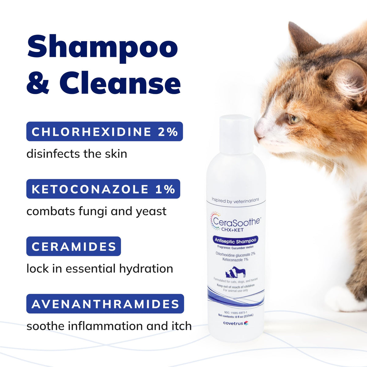 Chlorhexidine Ketoconazole Antiseptic Shampoo 16 oz S954