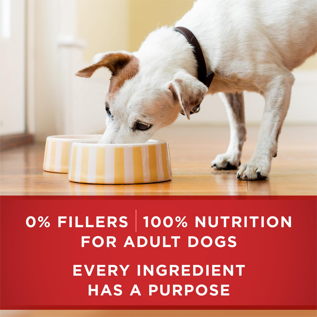 Wet Dog Food Variety Pack 6 13 oz Cans L677