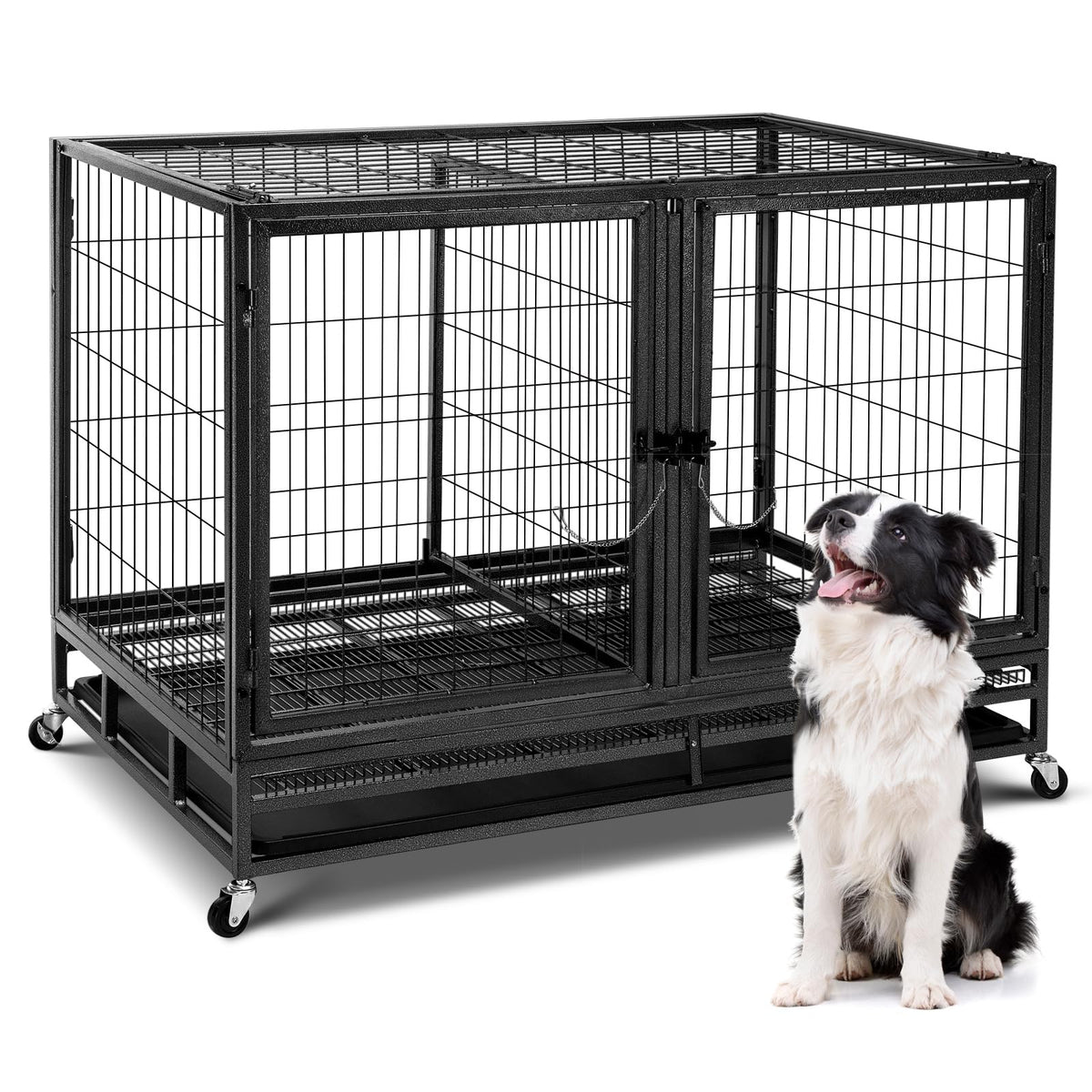 48inch Metal Wire Dog Crate with Divider N663589