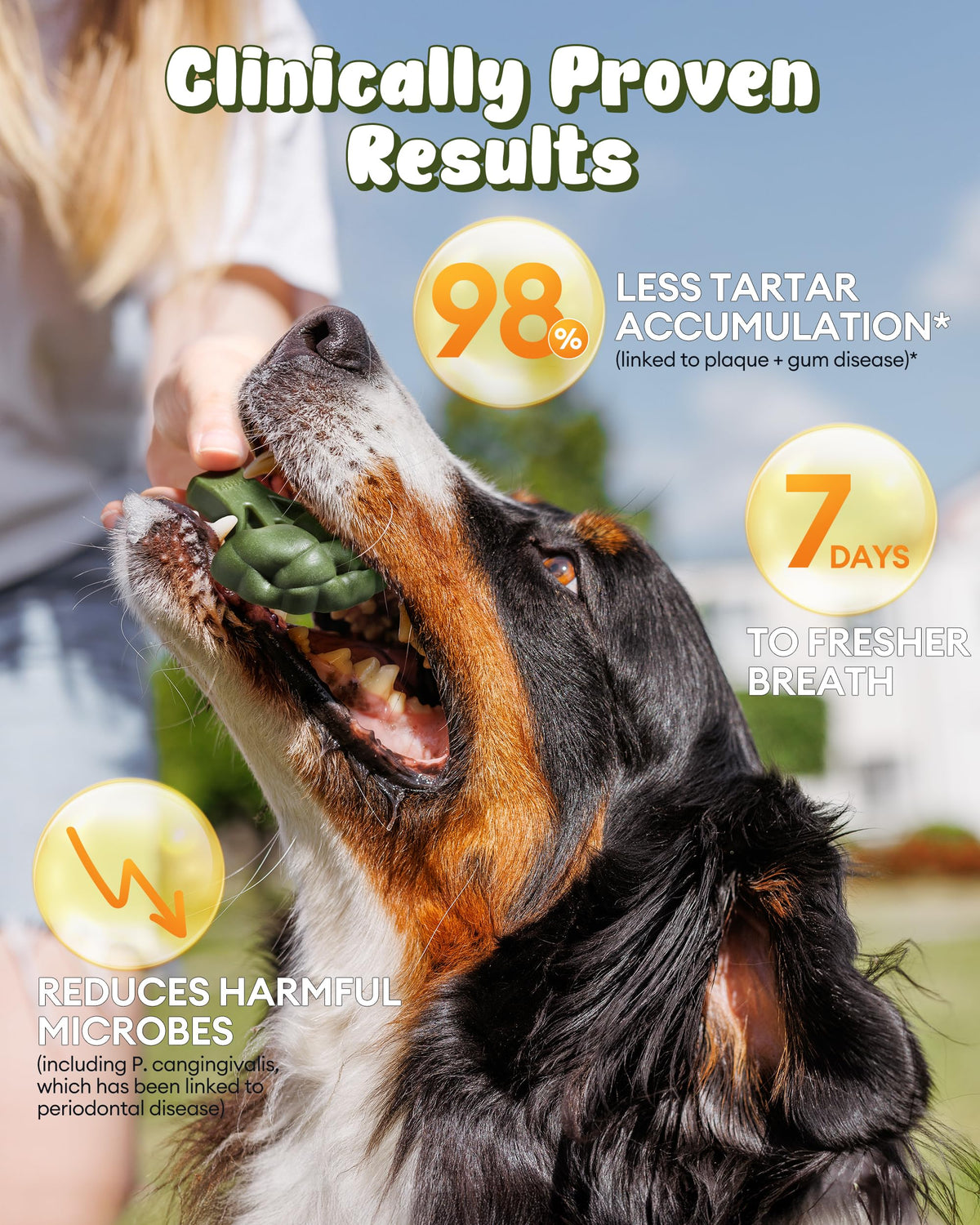 Dog Dental Chews 12oz 10 Count V294242